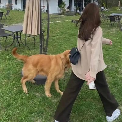 盛装杀戮